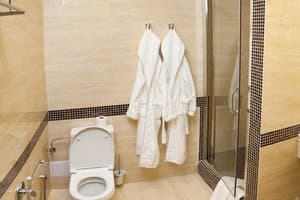 Отель Vicomte. Улучшенный двухместный Superior 3