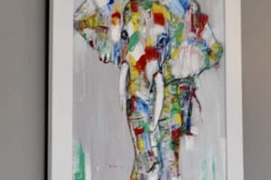 Village apartments Polyana 5