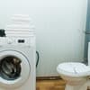 Яскраві квіти. Alex Apartments. Безконтактне заселення 24/7 20-21/28