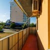 Яскраві квіти. Alex Apartments. Безконтактне заселення 24/7 25-26/28