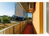 Яскраві квіти. Alex Apartments. Безконтактне заселення 24/7 25