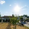 Яскраві квіти. Alex Apartments. Безконтактне заселення 24/7 27-28/28