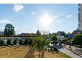 Яскраві квіти. Alex Apartments. Безконтактне заселення 24/7 27
