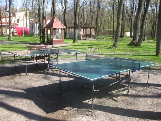 Зеленый Гай 6