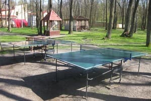 Зеленый Гай 6