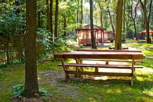 Зеленый Гай 8