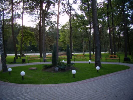 Зеленый Гай 5