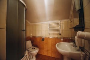 Отель Злагода . Стандарт двухместный дабл 5