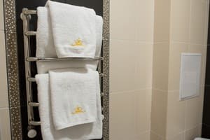 Отель Золотая Корона. Стандарт двухместный twin 11