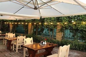 Золотий лев 3