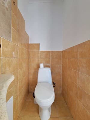 Золотой камин. Alex Apartments. Цілодобово (безконтактне заселення 24/7) 12