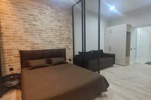 Квартира в центре, ул. Л. Украинской, 46. Апартаменты двухместный  1