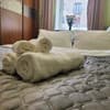 в центре, возле Медицинского университета 10-11/16