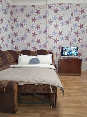 возле Березового сквера (обл. больница и госпиталь). Alex Apartments 8