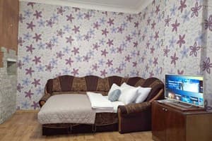 Квартира возле Березового сквера (обл. больница и госпиталь). Alex Apartments. Апартаменты двухместный  1