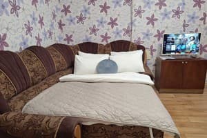 Квартира возле Березового сквера (обл. больница и госпиталь). Alex Apartments. Апартаменты двухместный  7