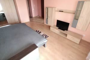 Квартира возле железнодорожного вокзала и областной больницы. Апартаменты двухместный  16