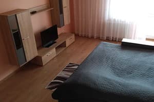 Квартира возле железнодорожного вокзала и областной больницы. Апартаменты двухместный  20